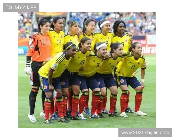 巴西世界杯赛事安全保障措施：确保比赛顺利进行的关键措施